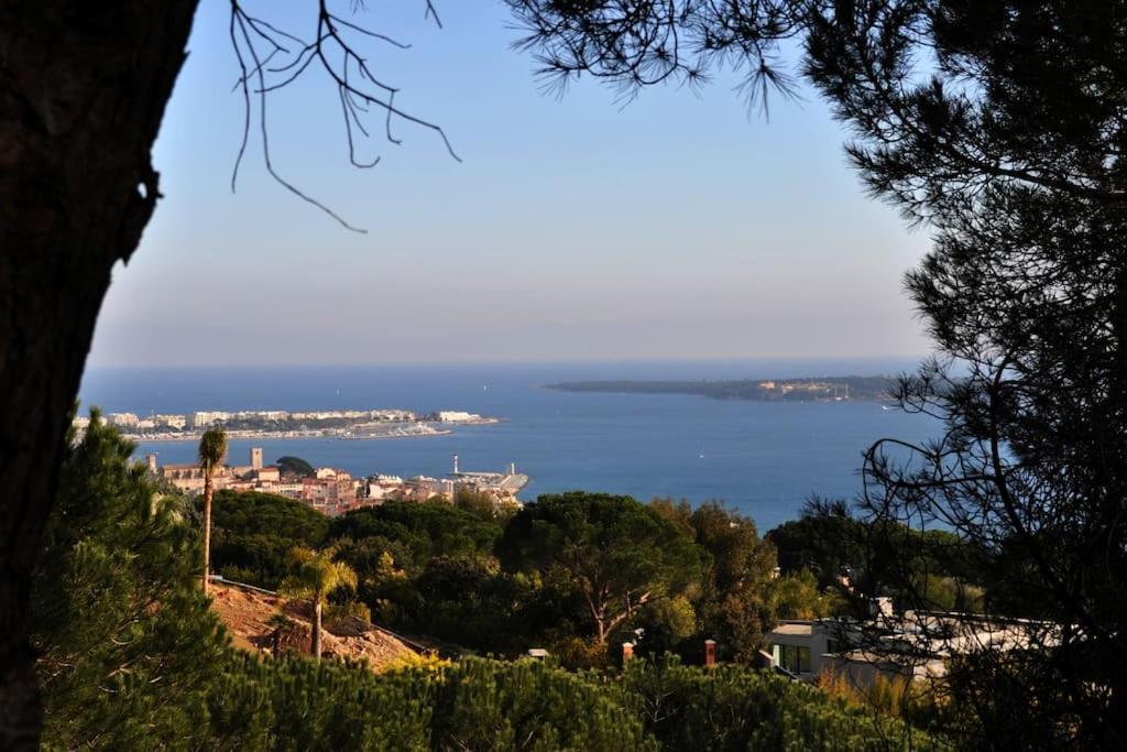 Cannes Beach And Festival Palais Exterior foto